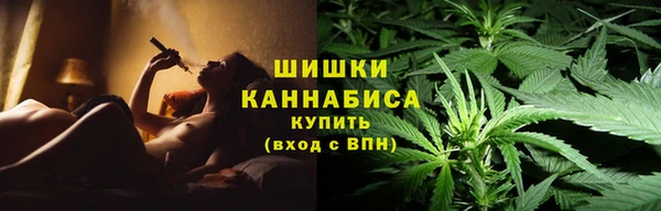 ECSTASY Белокуриха
