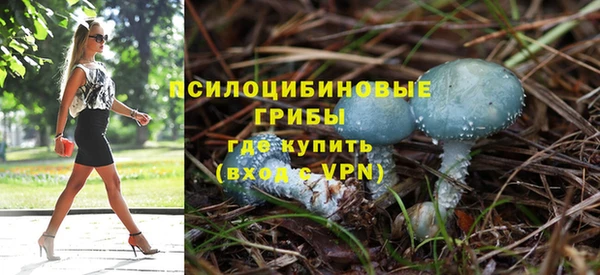ECSTASY Белокуриха