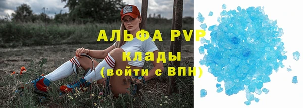 ECSTASY Белокуриха