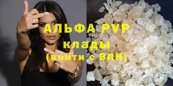 ECSTASY Белокуриха