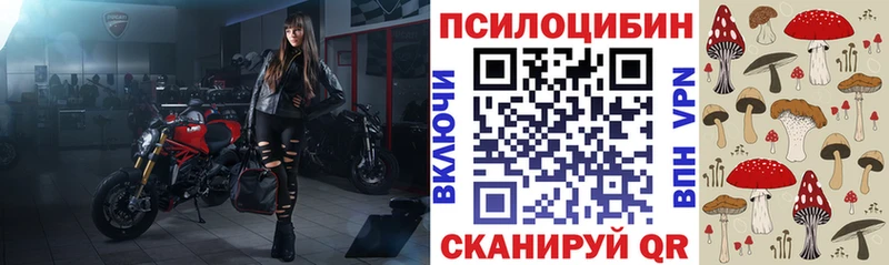 Псилоцибиновые грибы GOLDEN TEACHER  Рудня 